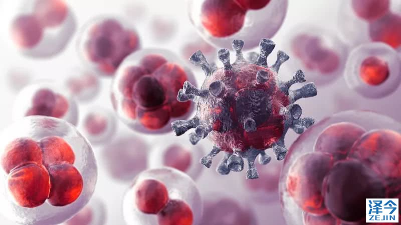 AZD9291在非小型细胞肺癌中的重要地位