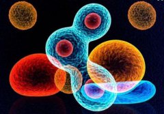 普纳替尼(帕纳替尼，PONATINIB)仿制药吃多长时间能见效？