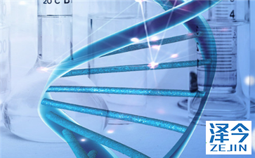 抗AZD9291的机制：突变选择性，不可逆的EGFR抑制剂