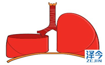 AZD9291克服对EGFR T790M突变的抗性