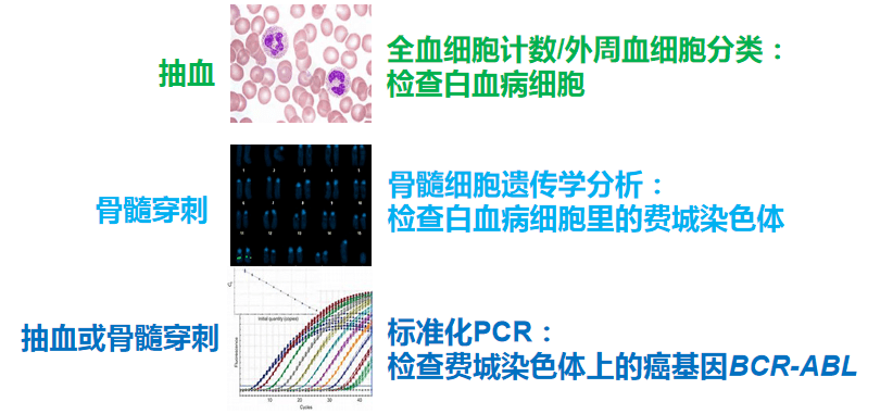 普纳替尼,Ponatinib