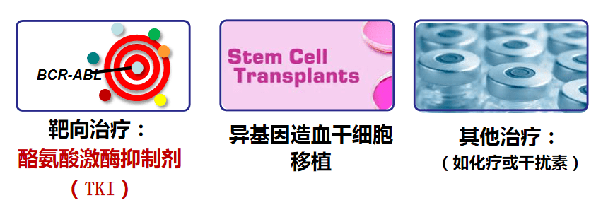 普纳替尼,Ponatinib