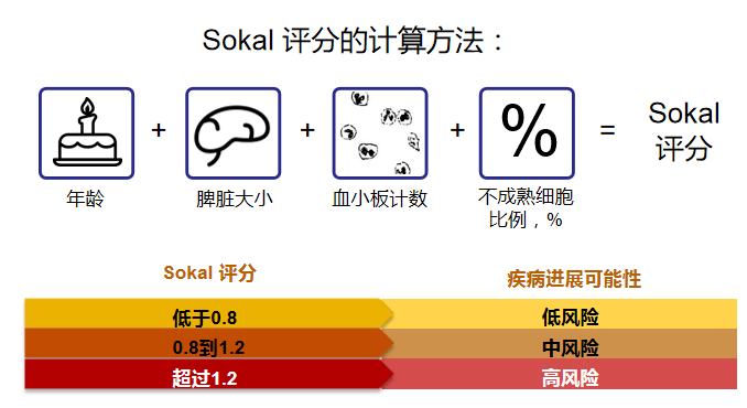 普纳替尼,Ponatinib