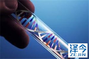 呋喹替尼联合吉非替尼应用晚期肺癌!