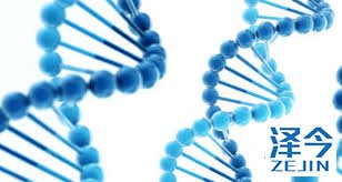 尽早做检查，疾病早知道