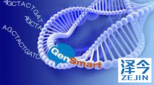 治疗肺癌最厉害的药品