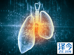 易瑞沙(吉非替尼)引起间质性肺炎？