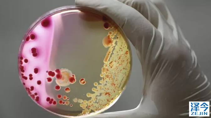 【AstraZeneca】阿斯利康制药公司快速跟踪Tagrisso辅助诊断