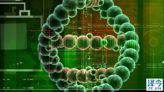 肝癌早期的检查方式都有哪些？-上海泽今医疗