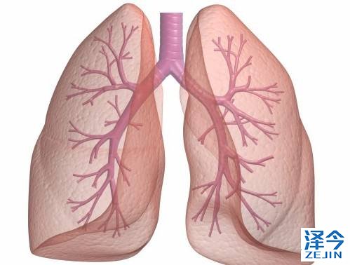 小细胞肺癌一线EP方案治疗后，帕唑帕尼维持治疗显神通