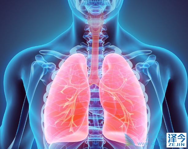 非小细胞肺癌 非小细胞肺癌