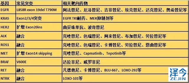 开辟新天地！曝新肺癌靶向用药相关基因被发现，这下患者或有救了