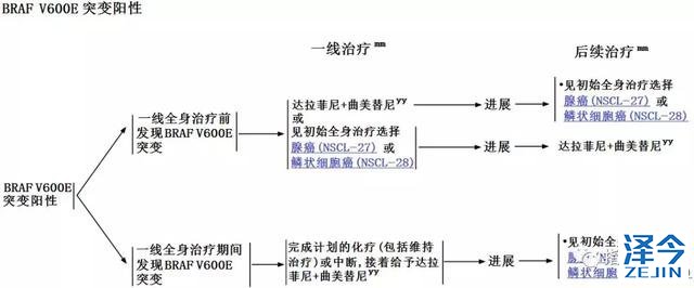 2019肺癌治疗最新指南发布！肺癌患者最关心的问题都总结在这了