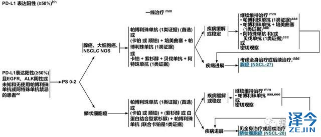 2019肺癌治疗最新指南发布！肺癌患者最关心的问题都总结在这了