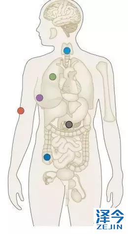 2018，两款重磅新药给RET基因融合的癌症患者带来春天！