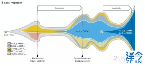 QQ图片20160201141628