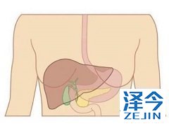 乐伐替尼挑战治疗肝癌一线地位
