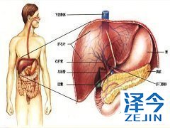 乐伐替尼在甲状腺未分化癌患者中的疗效