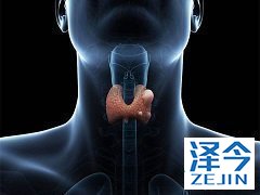 乐伐替尼诱导的甲状腺髓样癌中的肾小球硬化