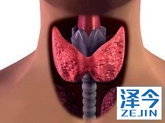 乐伐替尼可增强紫杉醇在甲状腺癌中的抗癌作用