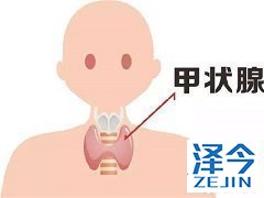 乐伐替尼治疗甲状腺癌的有效性和安全性
