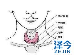 乐伐替尼治疗放射性碘难治性甲状腺癌