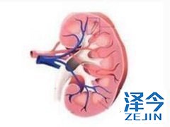 与单药治疗相比乐伐替尼联合PD-1治疗肾癌更有效！