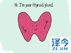 乐伐替尼是如何工作的？