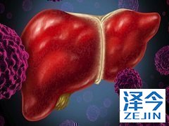 乐伐替尼针对老年和儿童患者的使用方法。