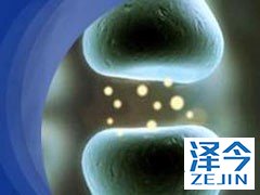 利妥昔单抗治疗滤泡淋巴瘤的效益如何呢？