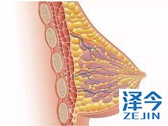 使用来那替尼能够降低患者的复发率