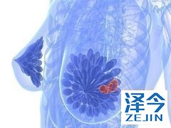 来那替尼已经向中国提交了上市申请