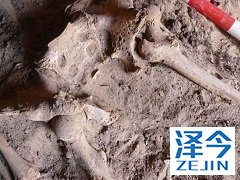 来那替尼对于患者的预后有明显的改善