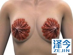 卡培他滨与来那替尼联合使用效果好吗？