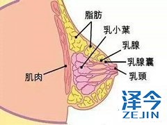 FDA批准来那替尼作为新的治疗方法