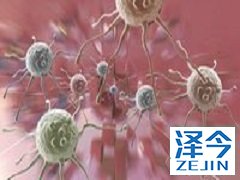 来那替尼与其他药品相互作用 