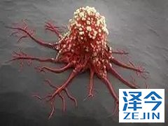 来那替尼用于延长性辅助治疗