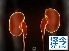 卡博替尼在肺泡软组织肉瘤中发挥抗肿瘤活性