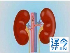 卡博替尼的常见副作用之一皮肤反应