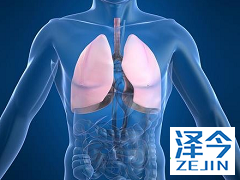 布加替尼在治疗ALK突变中表现突出