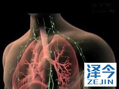 患者应使用多少剂量的布加替尼进行治疗？