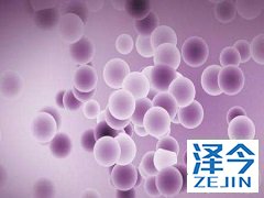 布加替尼在克唑替尼耐药的肺癌中的作用