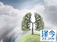 布加替尼对克唑替尼耐药ALK突变分子的抑制机制
