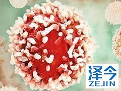 2型糖尿病初治患者可以使用曲格列汀吗？