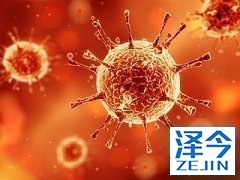 吉三代治疗丙肝合并肝硬化患者的治愈率是多少？