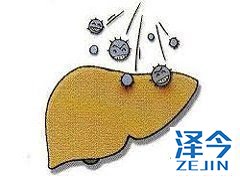 丙肝病毒数量减少后可以减少吉三代使用剂量吗？