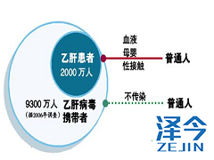 用TAF的乙肝女性患者可以要孩子吗？