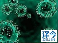 TAF可以精准治疗慢性乙型肝炎！