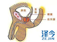 阿比特龙联用治疗晚期前列腺癌