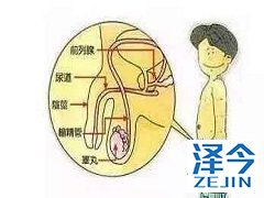 阿比特龙用药期间出现流感需要特殊治疗吗？